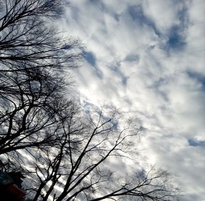 Meet your Posher, Madden